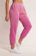 Load image into Gallery viewer, Z SUPPLY- HIGH TIDES JOGGER