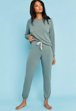 Load image into Gallery viewer, Project Social T- Champlain Pant