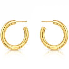 Load image into Gallery viewer, ELLIE VAIL-FLORA MEDIUM HOOP EARRING
