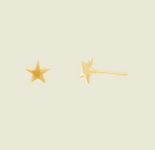 Load image into Gallery viewer, EAR KIT- STAR STUD
